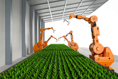 Agriculture technology concept with 3d rendering robotic arms in  greenhouseの写真素材