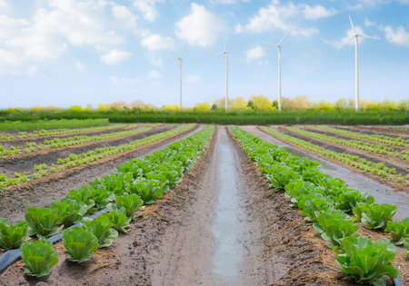 Green cabbage garden with wind turbines and cloudy blue sky background