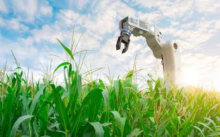 Agriculture technology concept with 3d rendering robot assistant on field against cloudy blue skyの写真素材