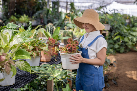 Happy female gardener in green house or glasshouse hold plantsの写真素材