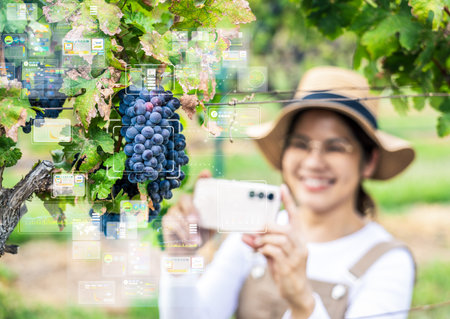 Smart vineyard system with asian winegrower working with mobile augmented realityの写真素材
