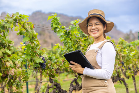 Asian winegrower working in vineyard with digital tabletの写真素材