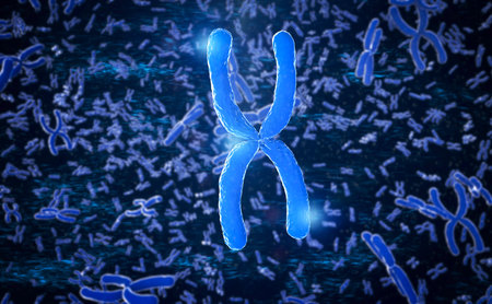 3d rendering blue chromosome x through microscopeの写真素材