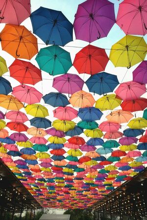 Colorful umbrellaの素材