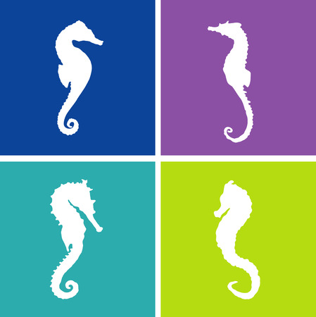sea horse set vector design.のイラスト素材