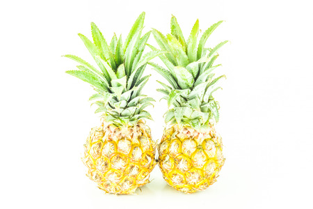 pineappleの写真素材