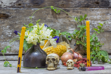 Still life Skullの写真素材
