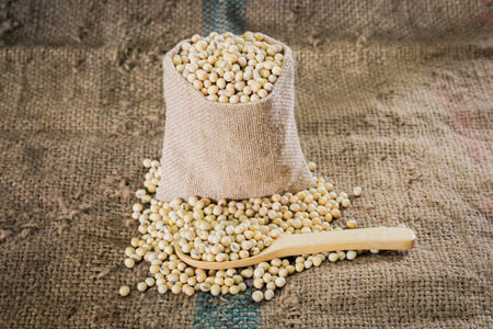 soybeans in spoon on sackclothの写真素材