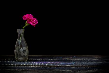 still life vase with flowers Black backgroundの写真素材