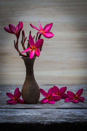 still life vase with flowers background.の写真素材
