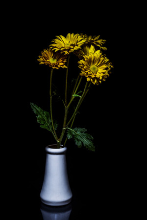still life vase with flowers Black background.の写真素材