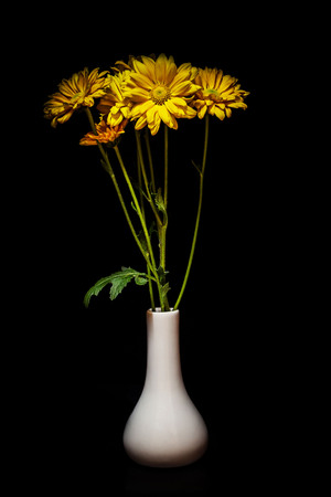 still life vase with flowers Black background.の写真素材