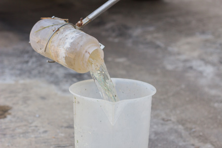 Check the pH of a private swimming poolの写真素材