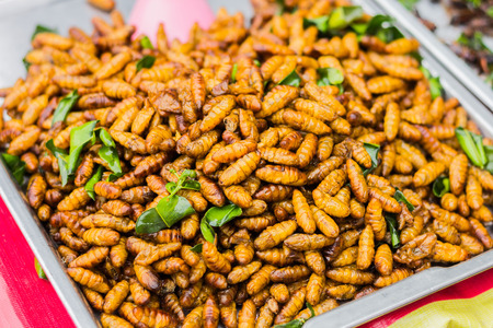 Fried insects as food of Asia.の写真素材
