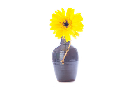 yellow flowers in a vase on a white backgroundの写真素材