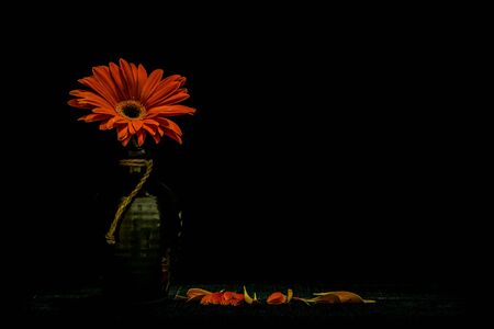 Still life vase with flowers Black background,flower background,beautiful flower,flowers Black background,の写真素材