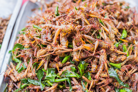Fried grasshoppers at Bangkok , Thailandの写真素材