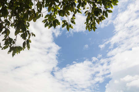 Clouds against blue sky background.の写真素材