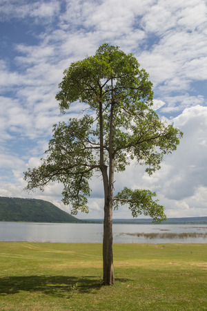 Lam Mun Bon Dam in Nakhon Ratchasim, Thailandの写真素材