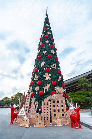 Decorated Christmas tree with gifts on a wooden background.の写真素材