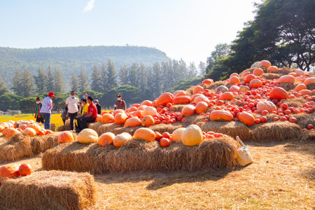 At Jim Thompson Farm The Isan and villages are star attractions featuring unique houses in...