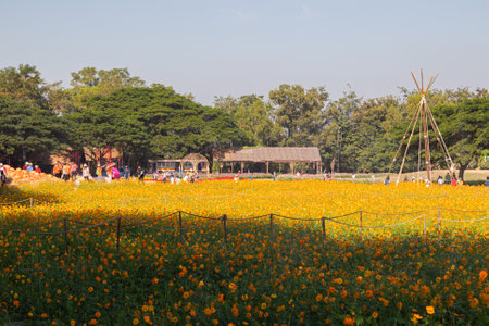 At Jim Thompson Farm The Isan and villages are star attractions featuring unique houses in architecture and in pristine condition. at Nakornratchasima, Thailand - December 13, 2020のeditorial素材
