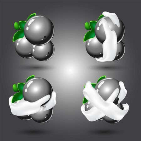 Fruit, Set of black berry fruits. Items for match 3 games, Assets Vector for web or game design. のイラスト素材