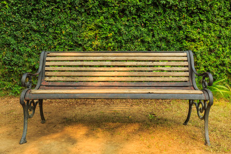 Green leaf wall with garden chairの写真素材