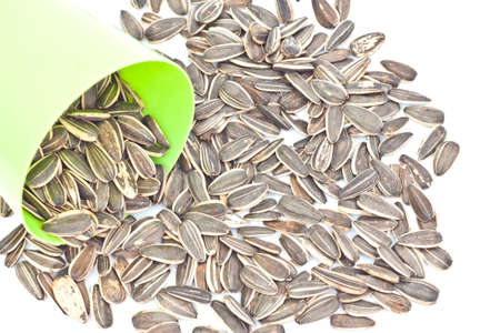 sunflower seedsの写真素材