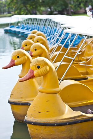 yellow bicycle boat in parkの写真素材