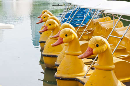 yellow bicycle boat in parkの写真素材