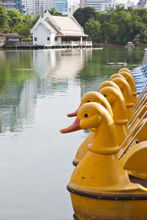 yellow bicycle boat in parkの写真素材