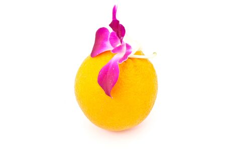 orchid on orange over  white paperの写真素材