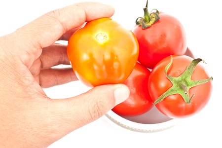 tomatos in chinaware on white paperの写真素材