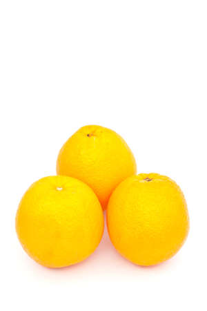 three oranges over white paperの写真素材