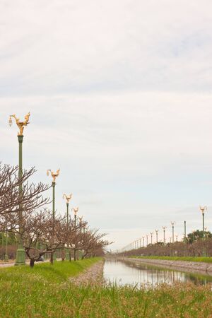bird image on electric postの写真素材