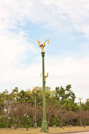bird image on electric postの写真素材