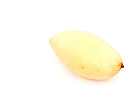 Mango on white paperの写真素材