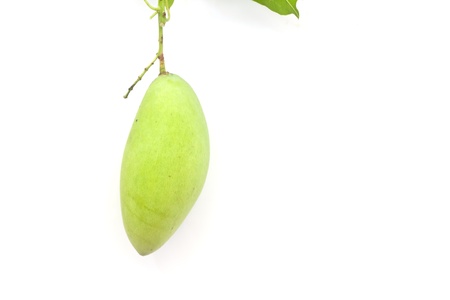 Mango on white paperの写真素材