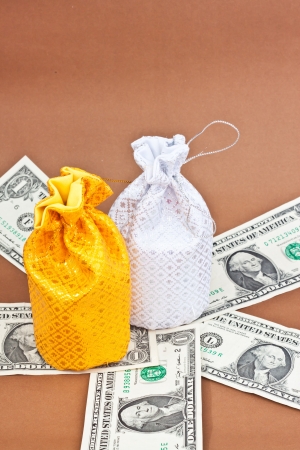 money bag with moneyの写真素材