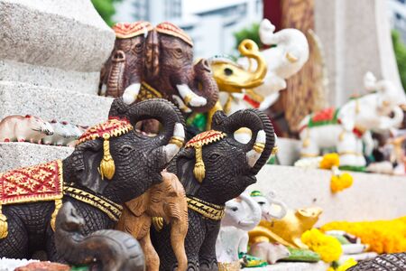 elephan imageの写真素材