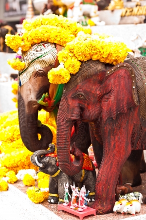 elephan imageの写真素材