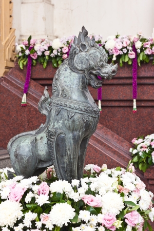 dargonのeditorial素材