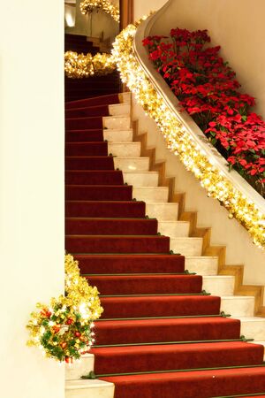 beauty of stairの写真素材
