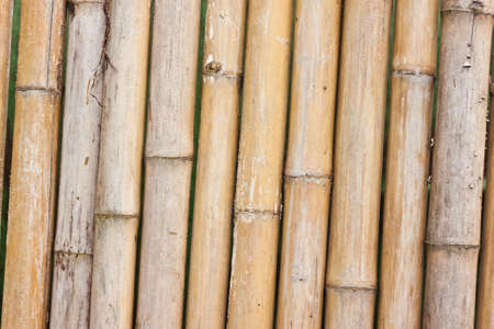 bamboo textureの写真素材