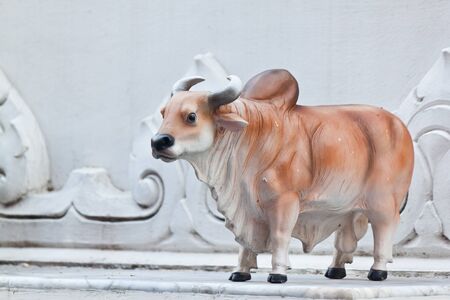 power cowの写真素材