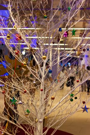 christmas treeの写真素材