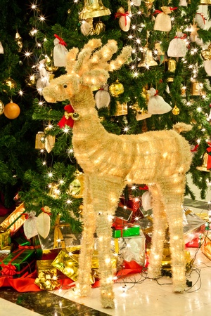 golden deer imageの写真素材