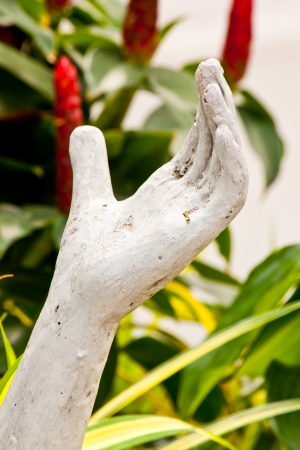 hand imageの写真素材