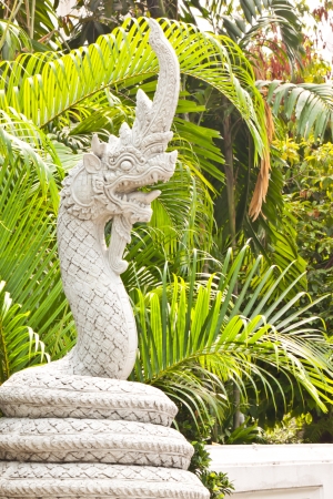 naga statue in thailandの写真素材